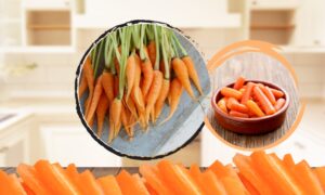 Baby Carrots